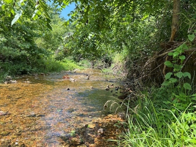 Acreage In Fulton County With Creek Frontage - image 3