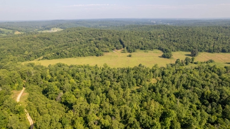 Acreage In Fulton County With Creek Frontage - image 9