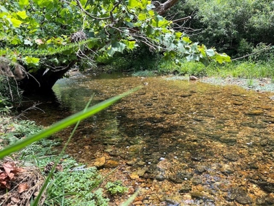 Acreage In Fulton County With Creek Frontage - image 4