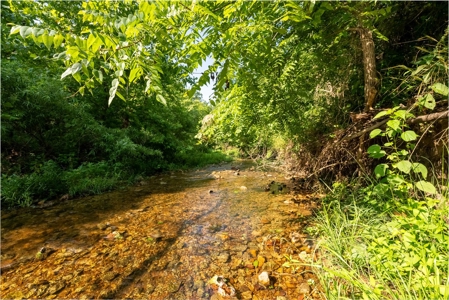 Acreage In Fulton County With Creek Frontage - image 13