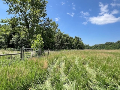 Acreage In Fulton County With Creek Frontage - image 5