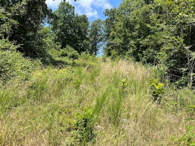 Acreage In Fulton County With Creek Frontage - image 6