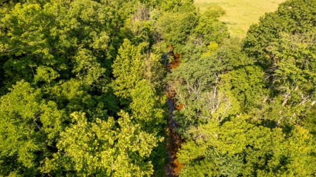 Acreage In Fulton County With Creek Frontage - image 11