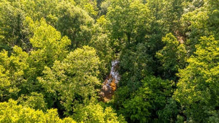 Acreage In Fulton County With Creek Frontage - image 10