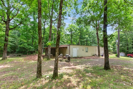 Home on 40 acres & live water in Heath Valley near ATV trail - image 16