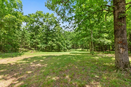 Home on 40 acres & live water in Heath Valley near ATV trail - image 21
