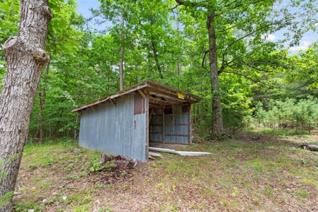 Home on 40 acres & live water in Heath Valley near ATV trail - image 18