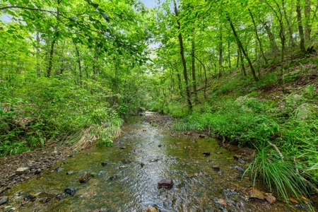 Home on 40 acres & live water in Heath Valley near ATV trail - image 23