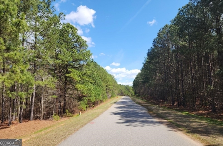 Lakefront lot on Clarks Hill - image 3