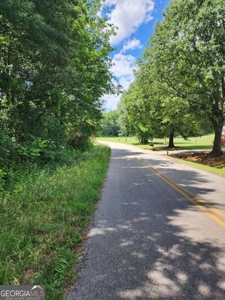 18.39 acre blank canvas for you to build your dream home - image 4