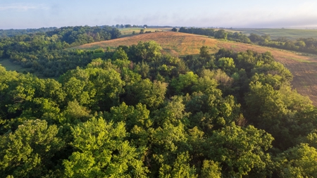 Diverse Iowa 49± Acre Hunting and Recreational Tract in Wape - image 10