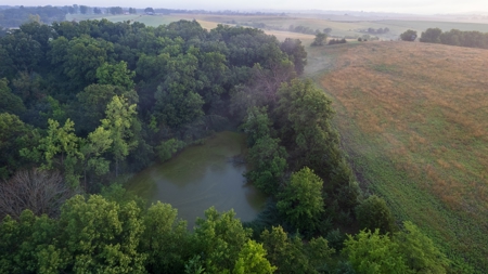 Diverse Iowa 49± Acre Hunting and Recreational Tract in Wape - image 35
