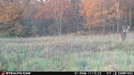 Diverse Iowa 49± Acre Hunting and Recreational Tract in Wape - image 16