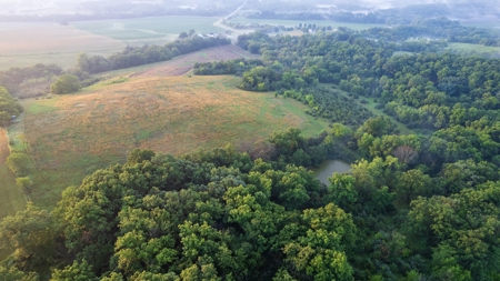 Diverse Iowa 49± Acre Hunting and Recreational Tract in Wape - image 20