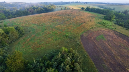 Diverse Iowa 49± Acre Hunting and Recreational Tract in Wape - image 32