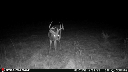 Diverse Iowa 49± Acre Hunting and Recreational Tract in Wape - image 36