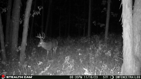 Diverse Iowa 49± Acre Hunting and Recreational Tract in Wape - image 27
