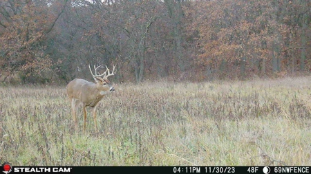 Diverse Iowa 49± Acre Hunting and Recreational Tract in Wape - image 19