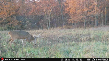 Diverse Iowa 49± Acre Hunting and Recreational Tract in Wape - image 28