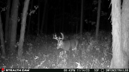 Diverse Iowa 49± Acre Hunting and Recreational Tract in Wape - image 29