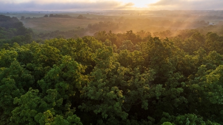 Diverse Iowa 49± Acre Hunting and Recreational Tract in Wape - image 33