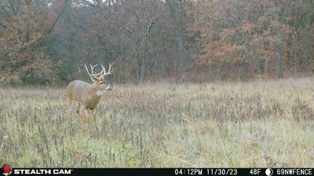 Diverse Iowa 49± Acre Hunting and Recreational Tract in Wape - image 14
