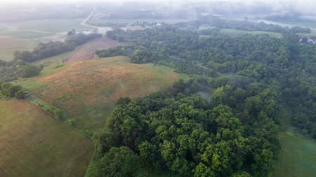 Diverse Iowa 49± Acre Hunting and Recreational Tract in Wape - image 37