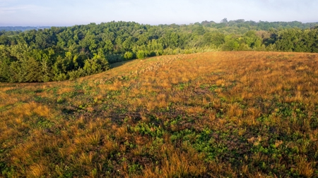 Diverse Iowa 49± Acre Hunting and Recreational Tract in Wape - image 7