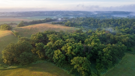Diverse Iowa 49± Acre Hunting and Recreational Tract in Wape - image 5