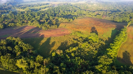 Diverse Iowa 49± Acre Hunting and Recreational Tract in Wape - image 4