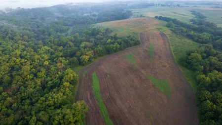 Diverse Iowa 49± Acre Hunting and Recreational Tract in Wape - image 39