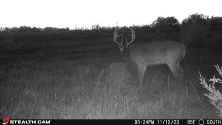 Diverse Iowa 49± Acre Hunting and Recreational Tract in Wape - image 9
