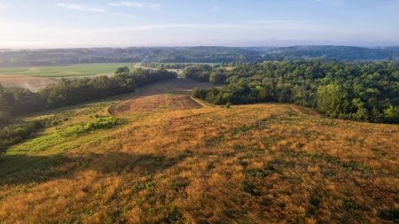 Diverse Iowa 49± Acre Hunting and Recreational Tract in Wape - image 6