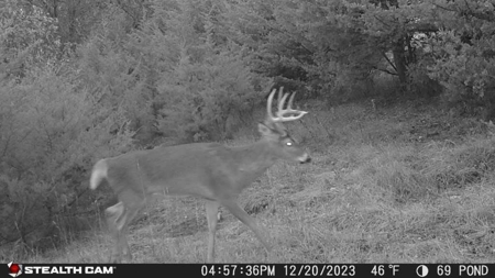 Diverse Iowa 49± Acre Hunting and Recreational Tract in Wape - image 38