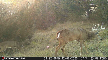 Diverse Iowa 49± Acre Hunting and Recreational Tract in Wape - image 21