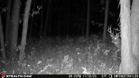 Diverse Iowa 49± Acre Hunting and Recreational Tract in Wape - image 30