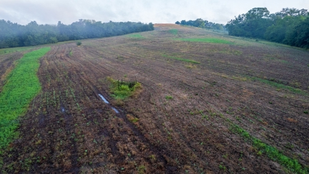 Diverse Iowa 49± Acre Hunting and Recreational Tract in Wape - image 26