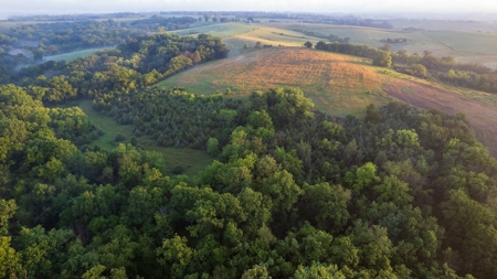 Diverse Iowa 49± Acre Hunting and Recreational Tract in Wape - image 23