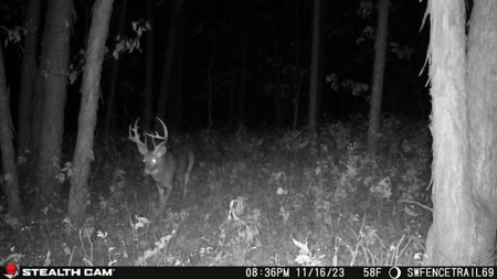 Diverse Iowa 49± Acre Hunting and Recreational Tract in Wape - image 17