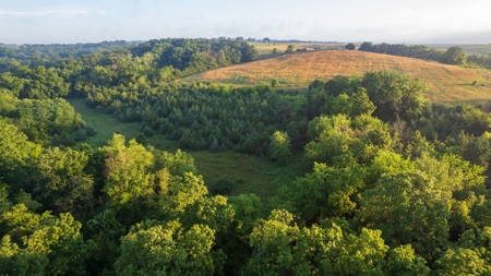 Diverse Iowa 49± Acre Hunting and Recreational Tract in Wape - image 11