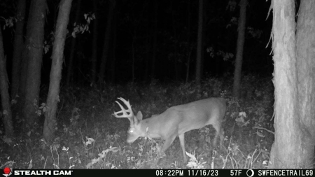 Diverse Iowa 49± Acre Hunting and Recreational Tract in Wape - image 13