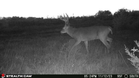 Diverse Iowa 49± Acre Hunting and Recreational Tract in Wape - image 22