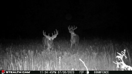 Diverse Iowa 49± Acre Hunting and Recreational Tract in Wape - image 31