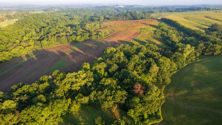 Diverse Iowa 49± Acre Hunting and Recreational Tract in Wape - image 2