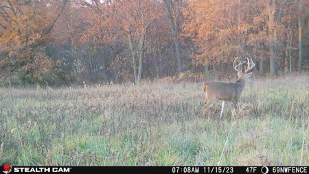 Diverse Iowa 49± Acre Hunting and Recreational Tract in Wape - image 12