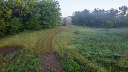 Diverse Iowa 49± Acre Hunting and Recreational Tract in Wape - image 24