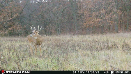 Diverse Iowa 49± Acre Hunting and Recreational Tract in Wape - image 34