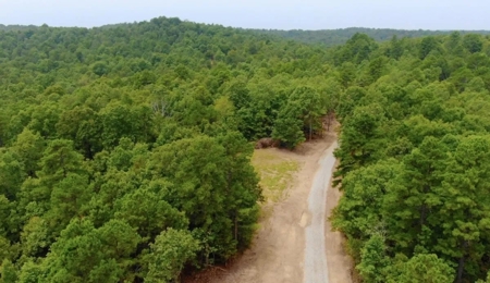22.4 secluded acres located outside of Salem, Arkansas - image 1