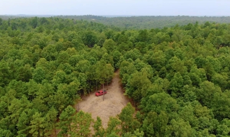22.4 secluded acres located outside of Salem, Arkansas - image 8