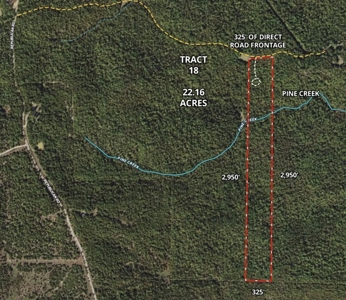22.4 secluded acres located outside of Salem, Arkansas - image 6